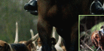 top_bann_1x3.gif