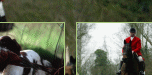 top_bann_1x4.gif