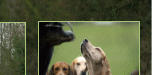 top_bann_1x5.gif