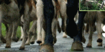 top_bann_2x3.gif